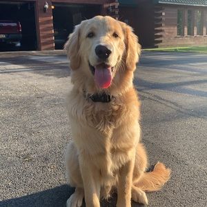 Meet your Posher, Meaghan